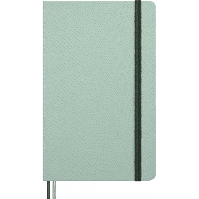 Блокнот MOLESKINE LIMITED EDITION YEAR OF THЕ SNAKE линейка мятный LECNYSNKVEGMBOX Блокнот MOLESKINE LIMITED EDITION YEAR OF THЕ SNAKE линейка мятный LECNYSNKVEGMBOX