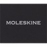Шильд-символ MOLESKINE водолей PINAQUARIUSGOLD